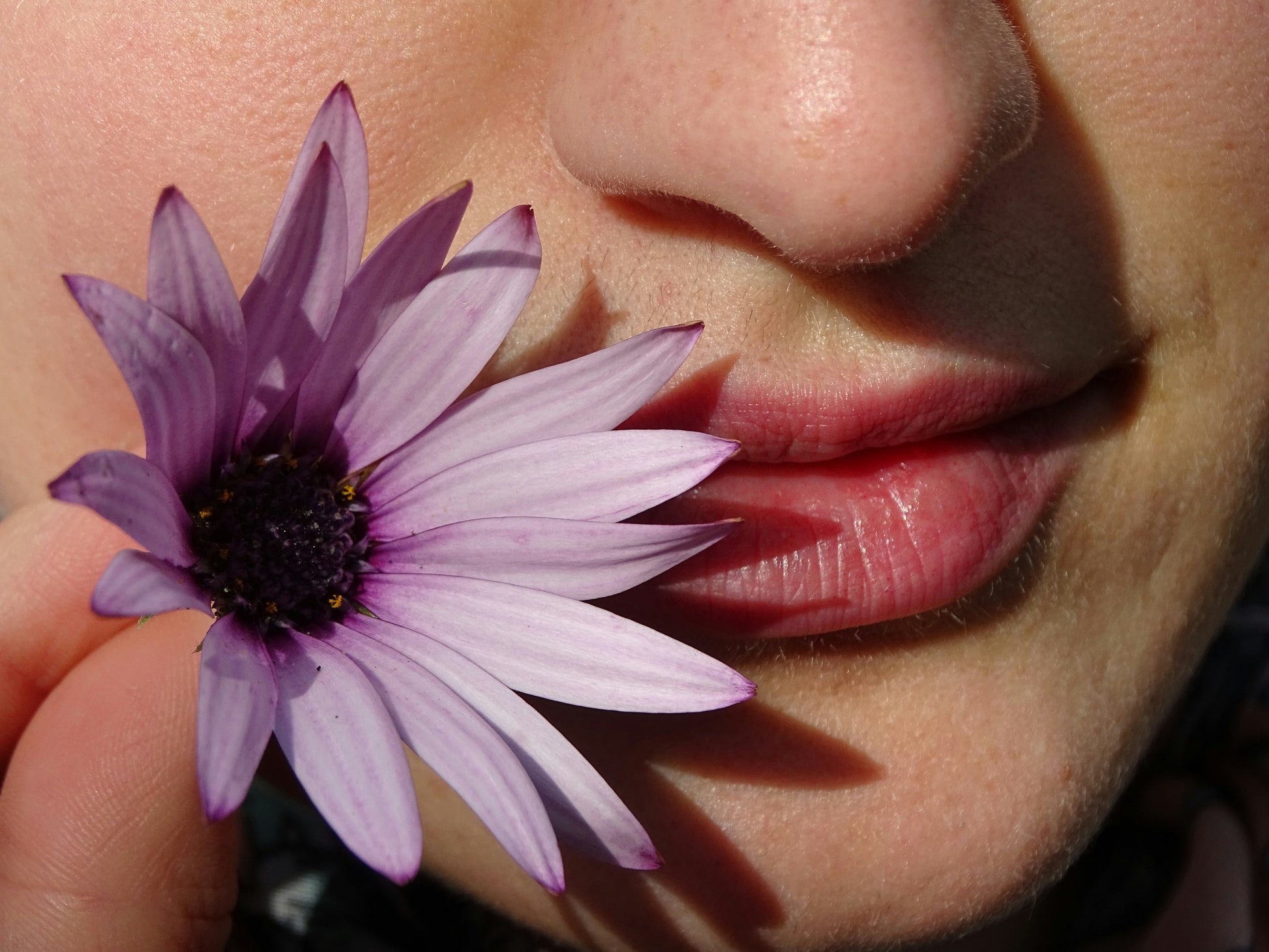 NEU Feygenblatt Lippenpflege "PURE"